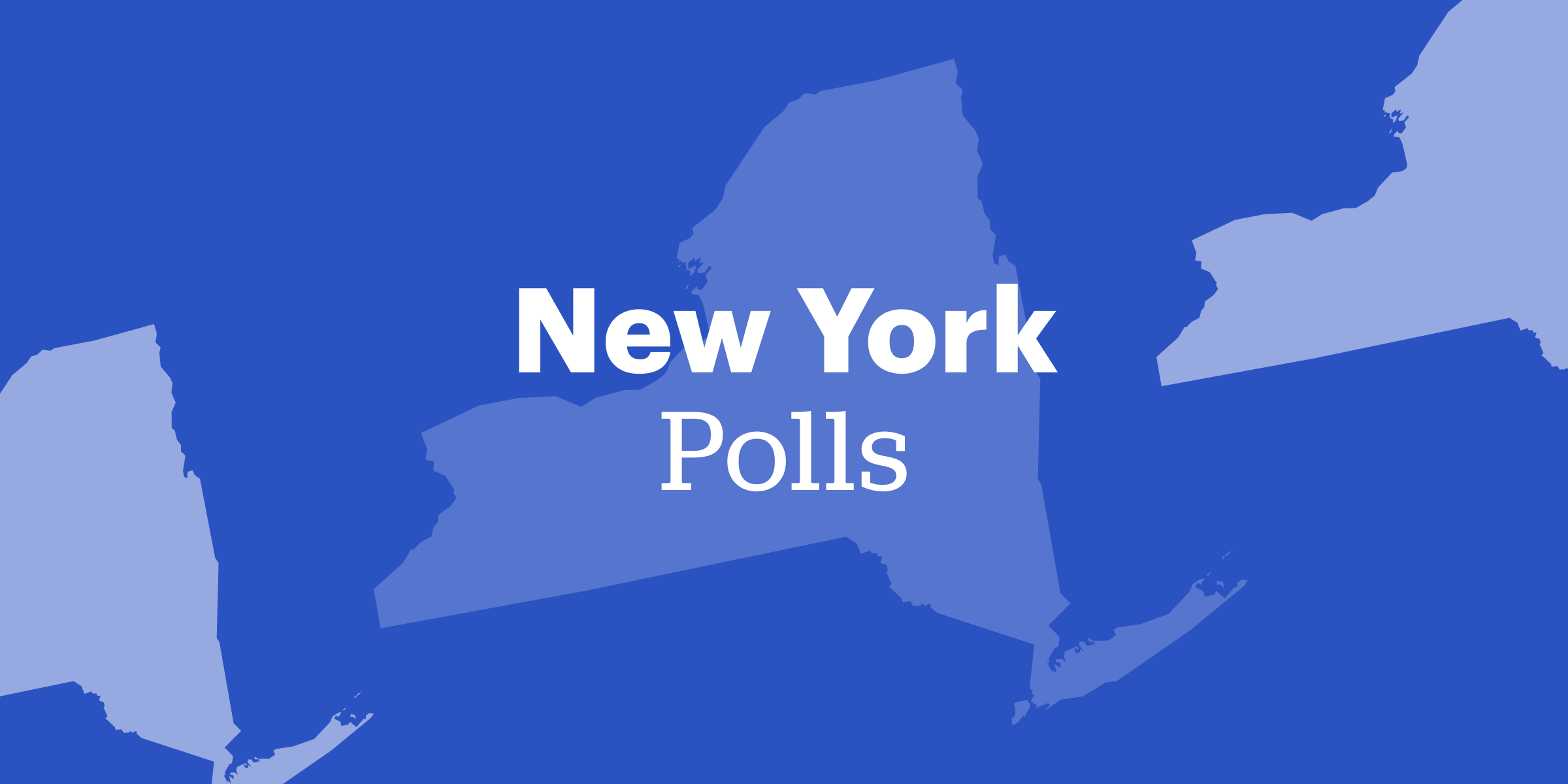 New York Polls 2024 Licha Cortney